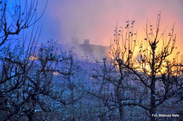 fot.: Mateusz Nele - OSP Zduny