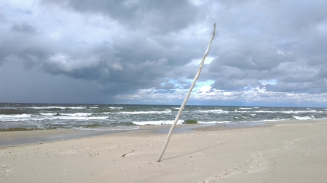 na fot.: plaża
