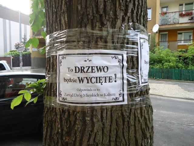 fot. Maciej Błachowicz