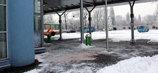 na fot.: miejsce brutalnego zabójstwa