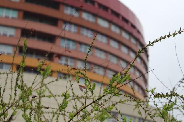 fot. GazetaKaliska.pl