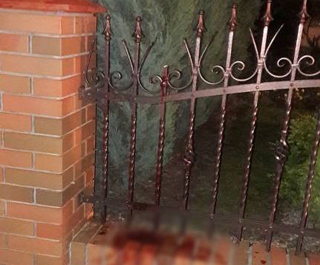 fot. PSP Krotoszyn/ ogn. Piotr Bielawski