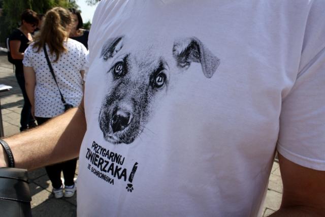 fot. GazetaKaliska.pl