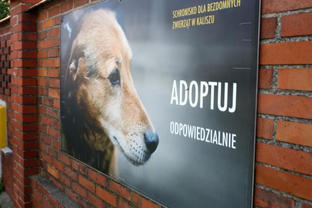 fot. GazetaKaliska.pl