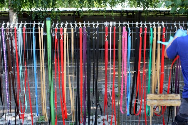 fot. GazetaKaliska.pl