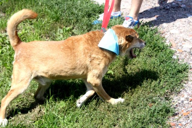 fot. GazetaKaliska.pl