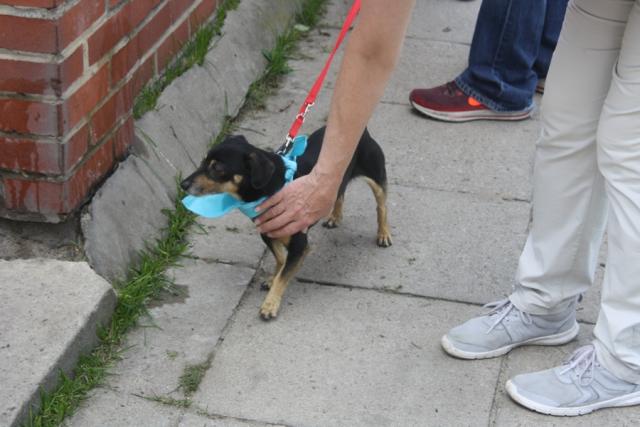 fot. GazetaKaliska.pl