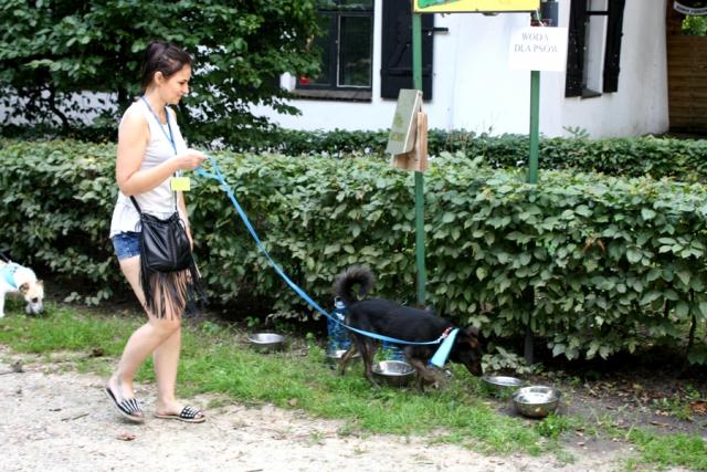 fot. GazetaKaliska.pl