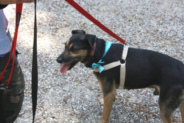 fot. GazetaKaliska.pl