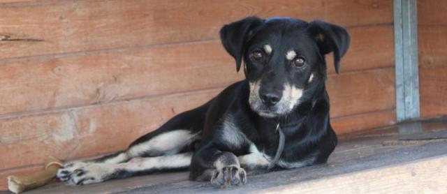 fot. GazetaKaliska.pl