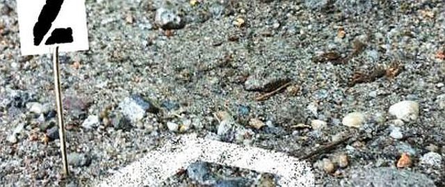 fot. GazetaKaliska.pl