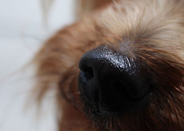 fot. GazetaKaliska.pl