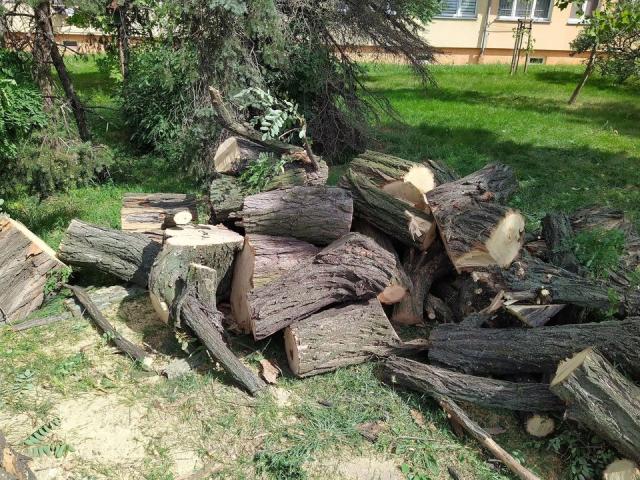 fot. Maciej Błachowicz