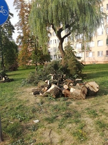 fot. Maciej Błachowicz