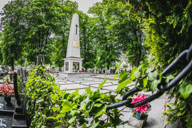 Fot. UM Ostrów Wielkopolski