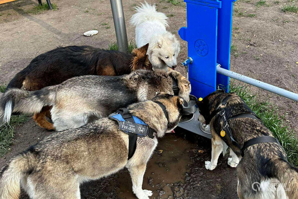 fot. UM Ostrowa Wielkopolskiego