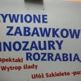 fot.GazetaKaliska.pl