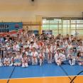 fot. Kaliski Klub Shinkyokushin Karate - Podolski Dojo / archiwum