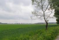 fot. GazetaKaliska.pl