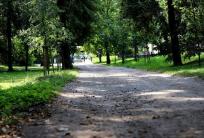 fot. UM Kalisza