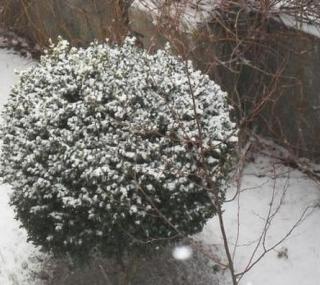fot.: GazetaKaliska.pl