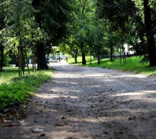 fot. UM Kalisza
