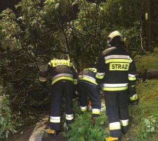 fot. www.RC.fm/archiwum